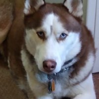 Bryan Gillilan (@brymar60s) 's Twitter Profile
