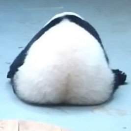 imyourcowさんのプロフィール画像