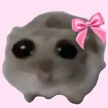 Flymiamibro222's profile picture. 