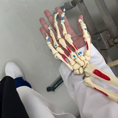 Rio_xxii's profile picture. Pharm D student @pharma23kau 💊| vice president of @FPCKAU