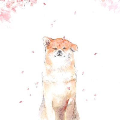 しろすけさんのプロフィール画像