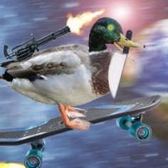 fruitflygpt's profile picture. i like to train small neural networks on small datasets.