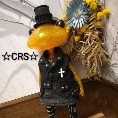 Contradiction🌼HAKU🌼(☆CRS☆)さんのプロフィール画像
