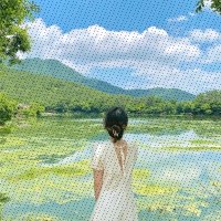 マユコ (@mayuko341740035) 's Twitter Profile
