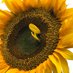 Martin Kinder💚🌻 alle☕️☕️☕️imSchrank (@martinkinder) Twitter profile photo Martin Kinder💚🌻 alle☕️☕️☕️imSchrank (@martinkinder) Twitter profile photo