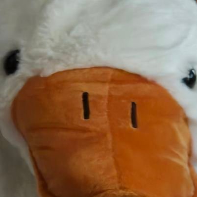 어쩔さんのプロフィール画像