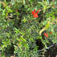 K.A (@gasmahrbxcsh2xo) Twitter profile photo