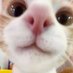 marin 🎉 (@foolsghost1) Twitter profile photo marin 🎉 (@foolsghost1) Twitter profile photo