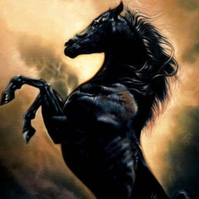 DeepFkingValu4u's profile picture. DeepFknValue Activist Investor, Not A Stalking Horse Bidder. I Can't Stop & Won't Stop Until the ILLEGAL GAME STOPS.! WAGMI.! 45-47. WWG1WGA! (Parody Acct.)