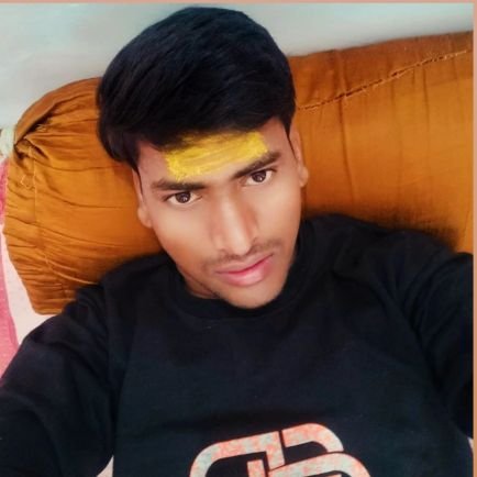 PallavY65241349's profile picture. 