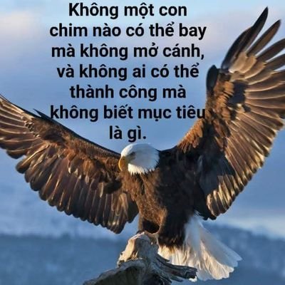 hoanglienhai82's profile picture. 