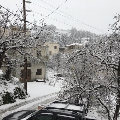 mtopsis's profile picture. 