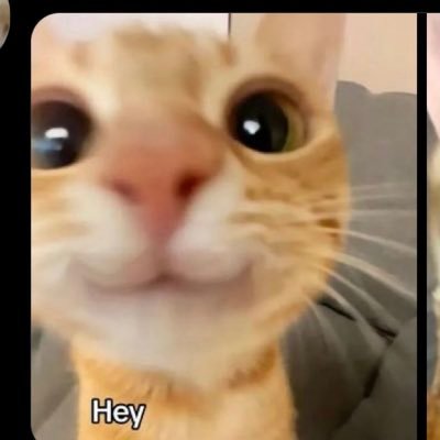 binoddddddd's profile picture. bas aaj ki raat hai kal se vahi siyappe hai