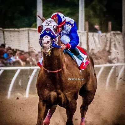 Alex_corrales8's profile picture. 