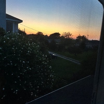 owenhspring's profile picture. VT/MA