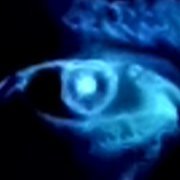 astronautbasics's profile picture. save the pigs - get to orbit
 ~~~TELEODYMANIC~~~