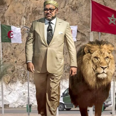 dzmohammed6's profile picture. Mouvement fondé en 2004. Militants dans la clandestinité pour une constitution démocratique avec SM le Roi Mohammed VI en tant que chef d'état de l'Algérie.