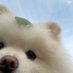 Why you should love animals (@animals_twts) Twitter profile photo Why you should love animals (@animals_twts) Twitter profile photo