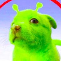 OatZ (@turtleoatz) 's Twitter Profile