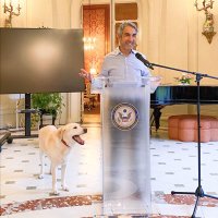 Bijan Sabet (@bijan) Twitter profile photo