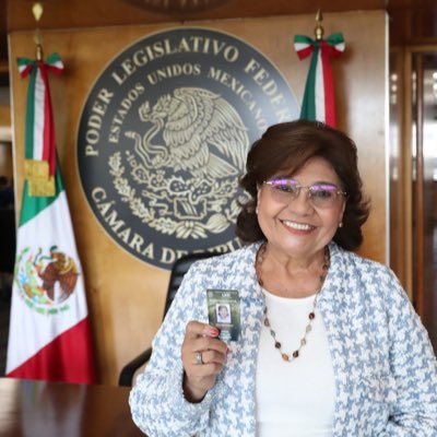 Maestra jubilada, Dip. Fral. en la LIX, LXII, LXV y LXVI Legislaturas. Dip. Local de LXII Legislatura en Chiapas.