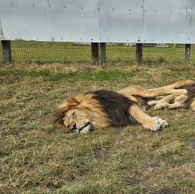 CarlDavies1980's profile picture. 