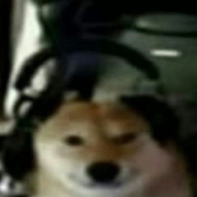 va4ll25702's profile picture. ola 8)