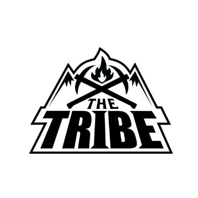 The Tribe 🗿 | 🦫さんのプロフィール画像