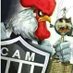 Galo Silva (@silvaeremilson) Twitter profile photo Galo Silva (@silvaeremilson) Twitter profile photo