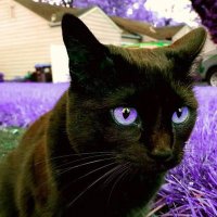 𝓜𝓻. 𝓜𝓪𝓷𝓱𝓪𝓽𝓽𝓪𝓷 (@mrmanhattanks) 's Twitter Profile Photo 𝓜𝓻. 𝓜𝓪𝓷𝓱𝓪𝓽𝓽𝓪𝓷 (@mrmanhattanks) 's Twitter Profile Photo