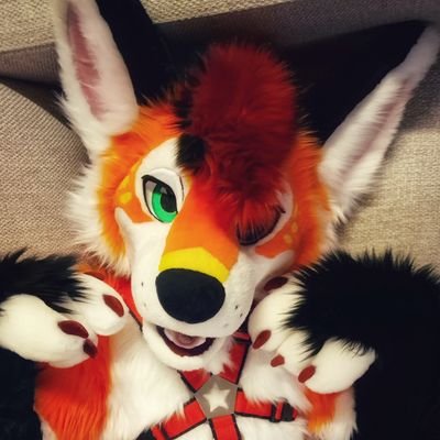 Multisuiter | 25♀️ | 🇫🇮 | Straight | Taken | Suggestive | NSFW | Lääh puuh bojoing | Pedos/Zoos DNI 🚫 | Fursuit maker/business account @Nightlessfurry