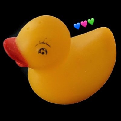 CVanBeethoven's profile picture. The US is a Constitutional Republic.
Fight For Your 1st Amendment Rights!
Challenge Without Fear. #FKR
#KarenReadFreed 
#FreeTurtleBoy 
#JusticeForOJOK