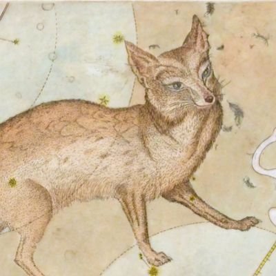 ✨️🦊 Vibezzz🎶⚡️/Magick/Art/Mythology/Dreams/Astrology 🪐💫
🛡Council me with your wisdom. Grant me success in my endeavors, but keep me humble🙏 PAM✨️