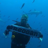 Luis Anido (@luisanido) 's Twitter Profile