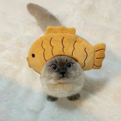 summarizesONG's profile picture. 