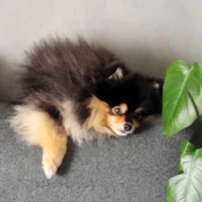 Patrici25151924's profile picture. 