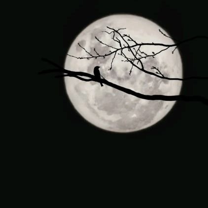 Blu3Sky22's profile picture. Hot