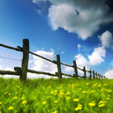 Vicky Dalrymple - @VDalrymple03 - Twitter