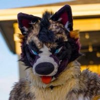 Rivan π COG, NFC, LVFC (@rivanrunswild) 's Twitter Profile