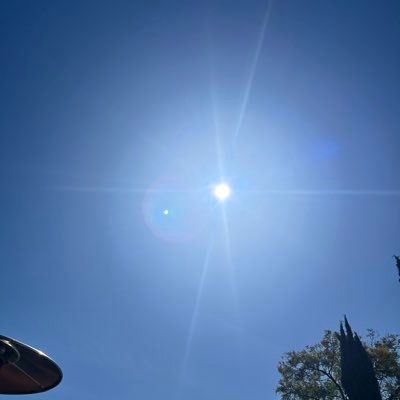 TJ8sun's profile picture. 