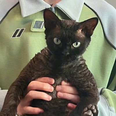 Luxiao1010's profile picture. 