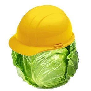 engineercabbage's profile picture. 