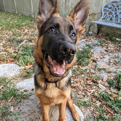 Tawny_Leigh's profile picture. I go MIA once Big Brother is over.