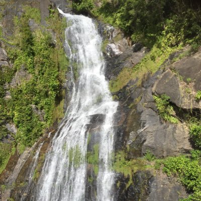 Ray_cc_sprint3's profile picture. プリズナートレーニングのステップ4〜7におり、自重筋トレのみで鍛えている。片腕の小指で懸垂できるようになることが最終目標。タックフロントレバー、タックバックレバー、タックプランシェ練習中！WSWCF Academy 認定トレーナー。