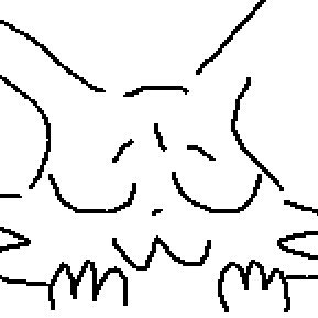 aranaeさんのプロフィール画像