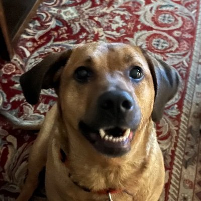 DaKidSanctuary's profile picture. i dont really use this so