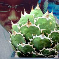macke (@drybizarre) 's Twitter Profile Photo