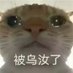 GloriaSusanna (@jxnd4cvp4604b) Twitter profile photo GloriaSusanna (@jxnd4cvp4604b) Twitter profile photo