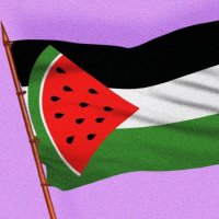 Molanim Cham (@molanimc20431) 's Twitter Profile