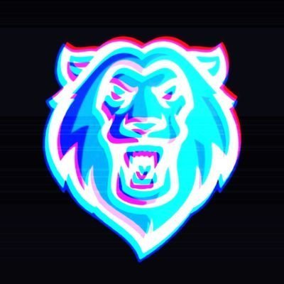 🦁 | 👨🏻‍💻